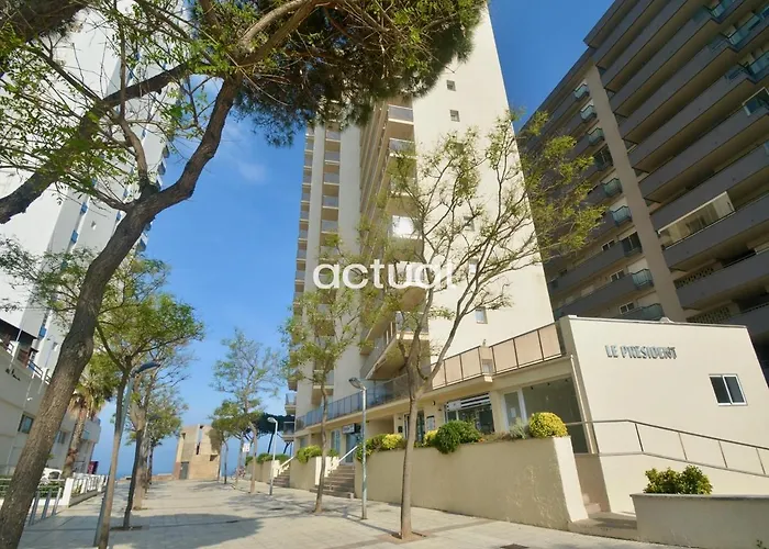 President B-5 Daire *